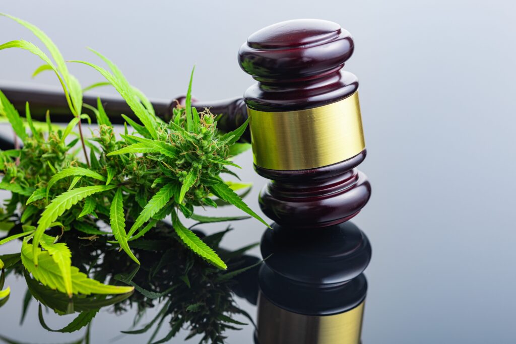 Hemp plant beside a gavel representing THCA federal and state legality in 2026

